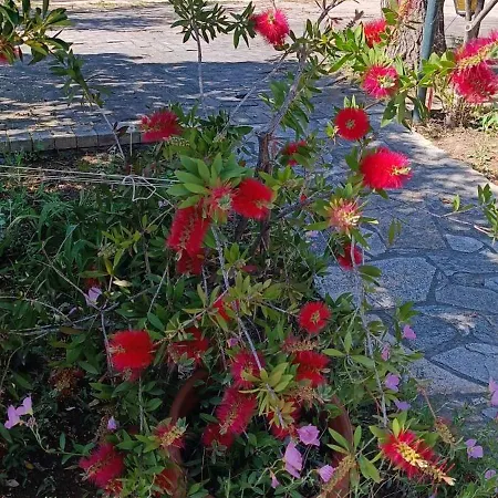 Filoxenia * Nea Iraklia