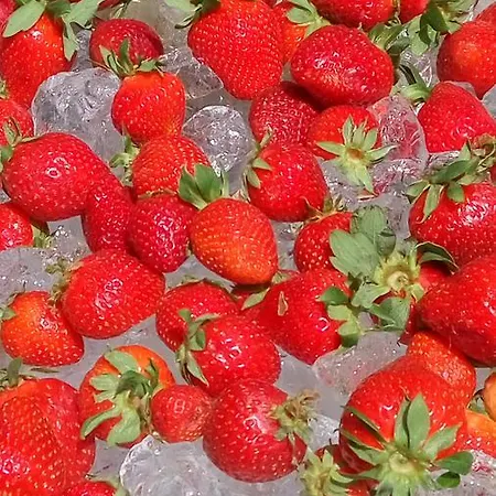 Filoxenia Apartmanhotel